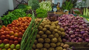 Ceny cebuli w sklepach sięgają nawet 8 zł za kg