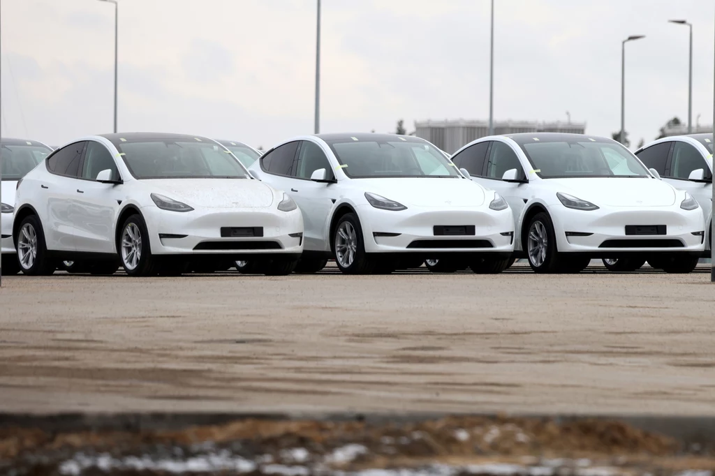 Sprzedaż samochodów w lipcu. Tesla zalicza bolesny upadek