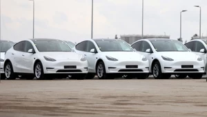 Sprzedaż samochodów w lipcu. Tesla zalicza bolesny upadek