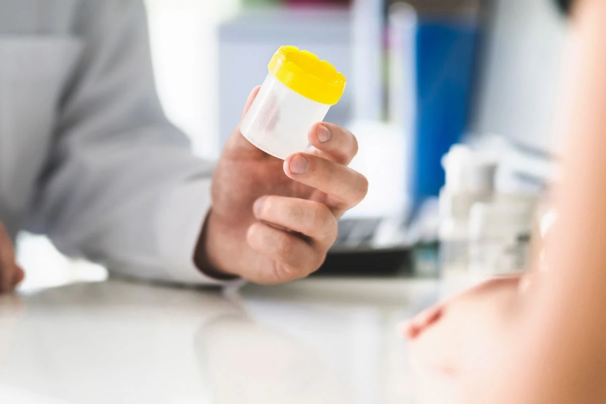 Badanie moczu pozwala ocenić stan nerek i ewentualne infekcje układu moczowego, dlatego należy wykonywać je regularnie