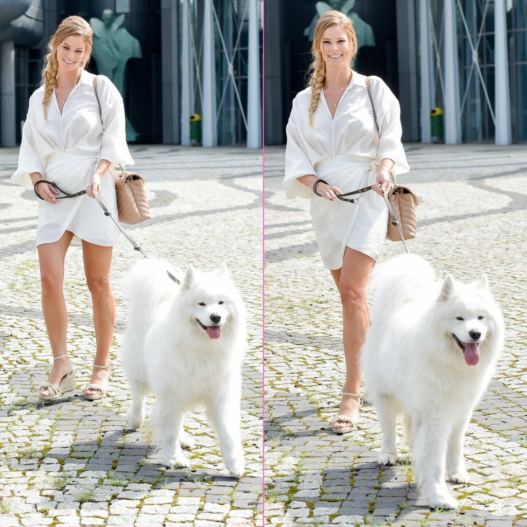 Ciężarna Tomaszewska cała na biało wychodzi z TVP razem ze swoim białym psem Ciężarna Tomaszewska cała na biało wychodzi z TVP razem ze swoim białym psem