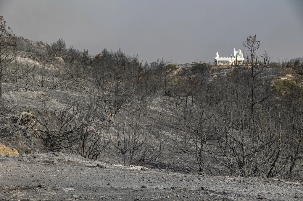 Skutki tegorocznych pożarów, Rodos