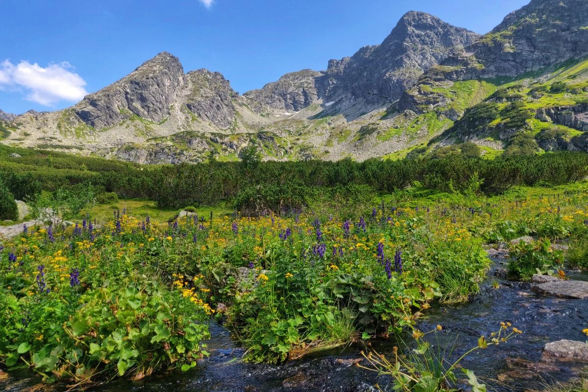 Odkryj mniej oczywiste zakątki Tatr