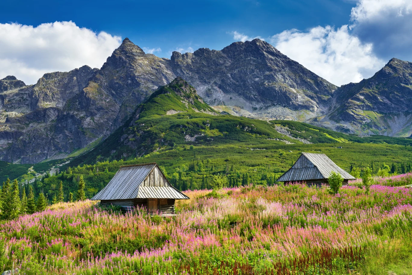 Najłatwiejsza trasa na Halę Gąsienicową prowadzi przez Boczań i rozpoczyna się w Kuźnicach. 
