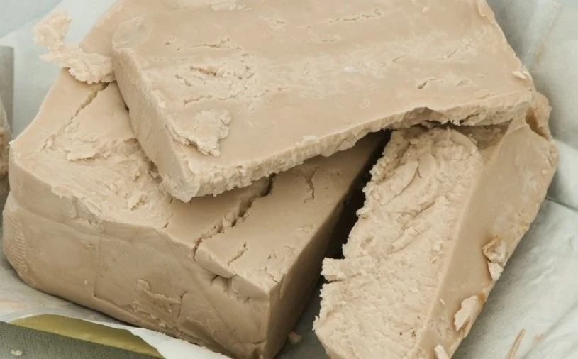 Jak pozbyć się czarnej plamistości róży? Wykorzystać można m.in. domowy oprysk z... drożdży piekarskich Jak pozbyć się czarnej plamistości róży? Wykorzystać można m.in. domowy oprysk z... drożdży piekarskich