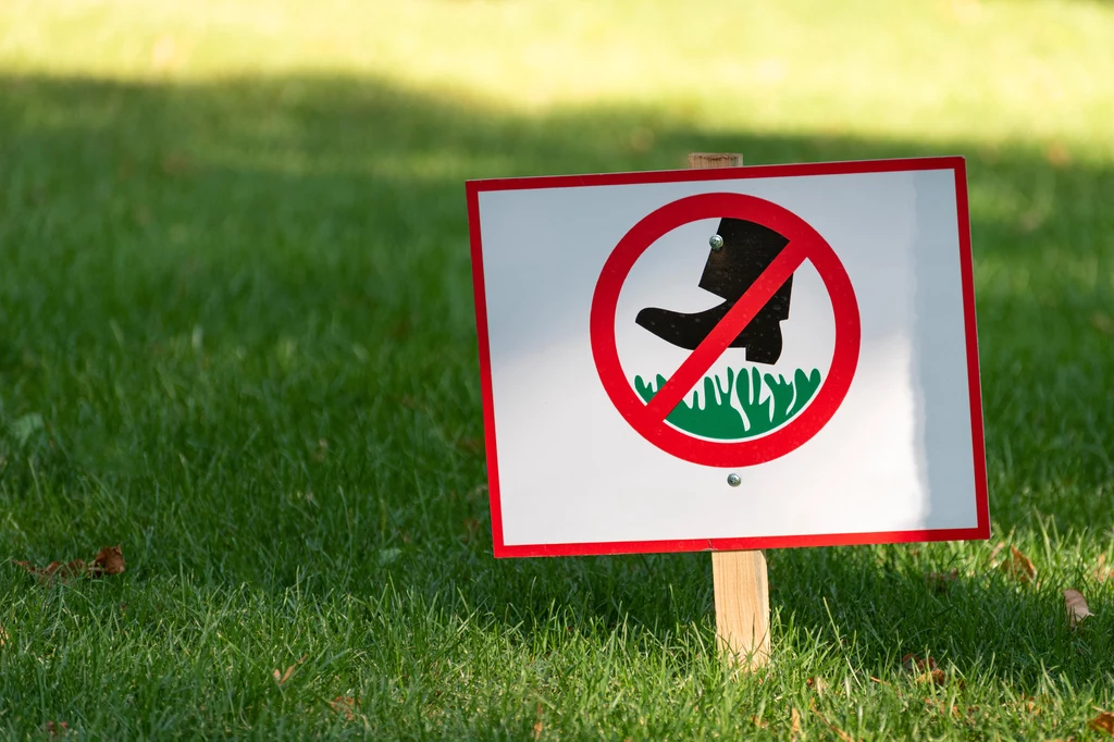 Zakaz deptania trawników - lepiej go nie lekceważyć