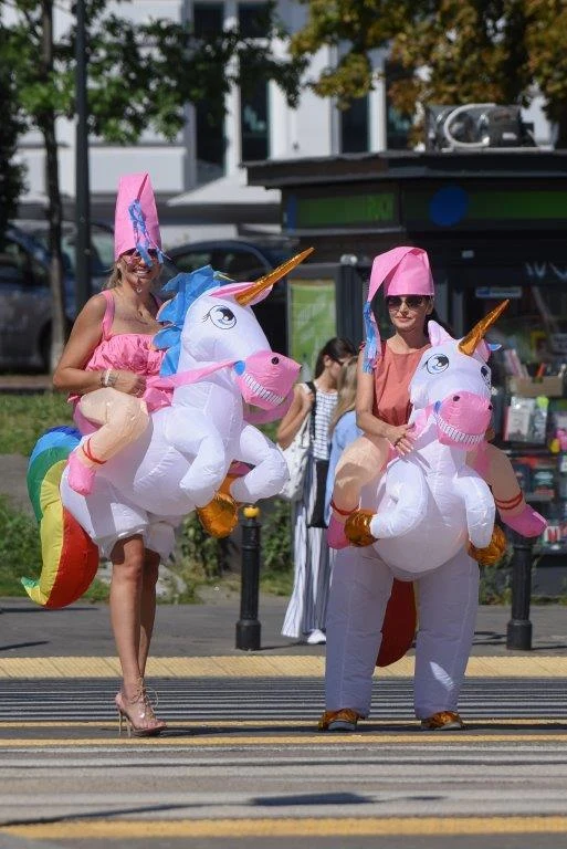 "The Real Housewives. Żony Warszawy". Uczestniczki rozpoczęły pracę na planie