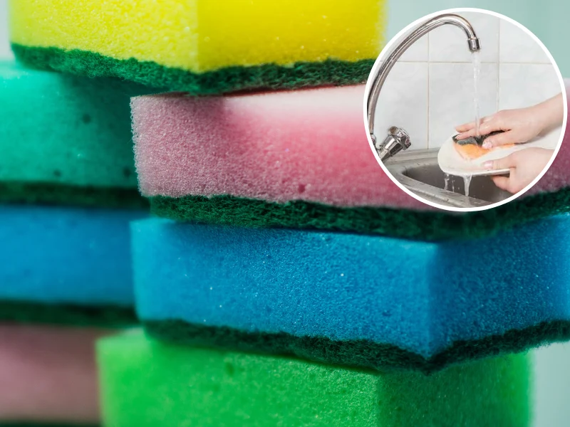 Gąbki do mycia naczyń. Mało kto wie, co oznaczają ich kolory. Źródło: East News/ Pixel Gąbki do mycia naczyń. Mało kto wie, co oznaczają ich kolory. Źródło: East News/ Pixel