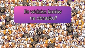 Zagadka dla spostrzegawczych. Ile znajdziesz kotów na obrazku? Tylko 1% użytkowników zna odpowiedź