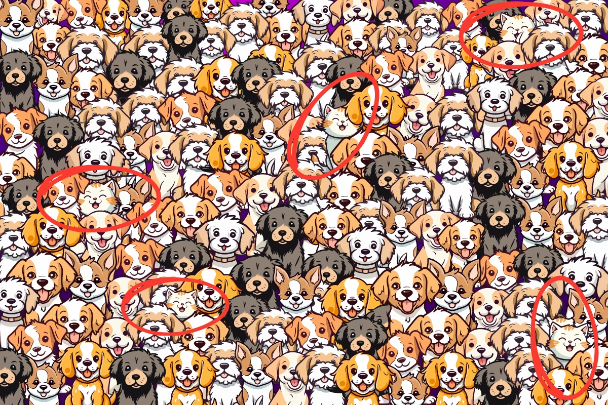 Prawidłowa odpowiedź