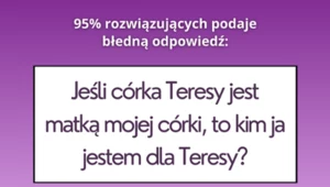 Zagadka dla najbardziej inteligentnych. Mało kto rozwiąże ją w mniej niż minutę