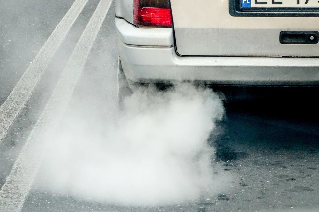 Weszły nowe przepisy. Sprawdź dane auta bo dostaniesz mandat 