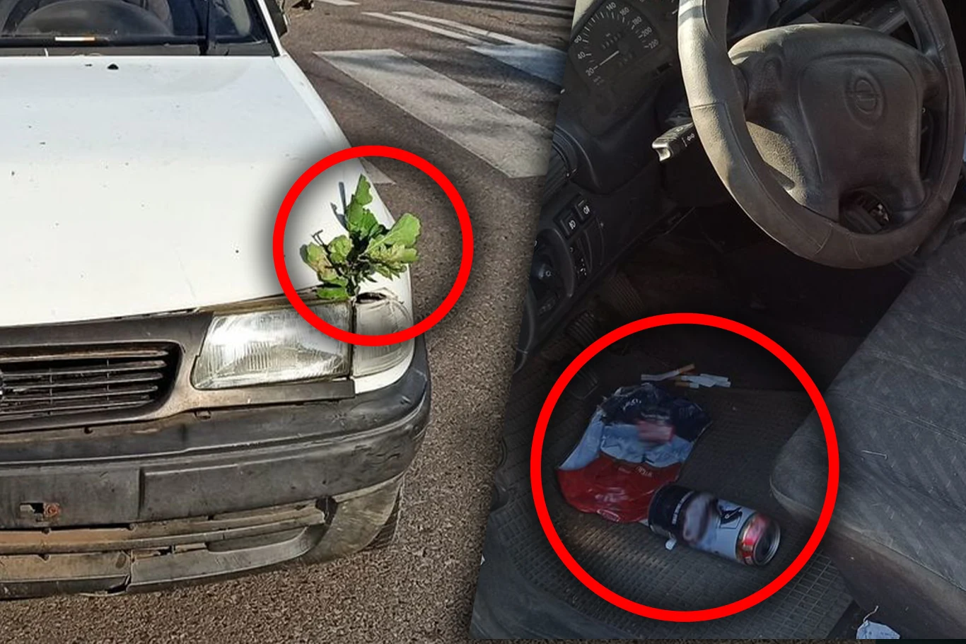 Pod maską miał krzaki, a w kabinie piwo. 67-latek był w ciężkim stanie Pod maską miał krzaki, a w kabinie piwo. 67-latek był w ciężkim stanie