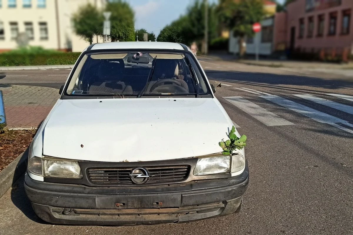 Opel Astra był w ciężkim stanie. Trzymał się gorzej od kierowcy Opel Astra był w ciężkim stanie. Trzymał się gorzej od kierowcy
