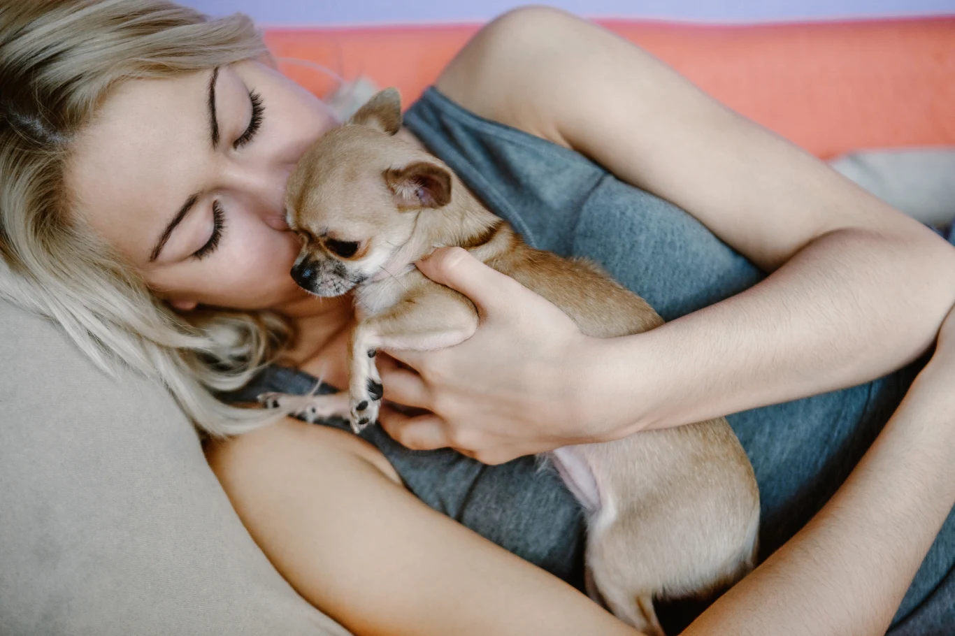 Masz psa? Musisz pamiętać m.in. o częstym myciu rąk