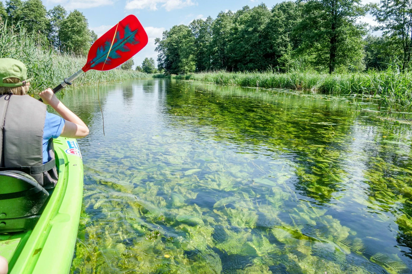 Rzeka Krutynia Rzeka Krutynia