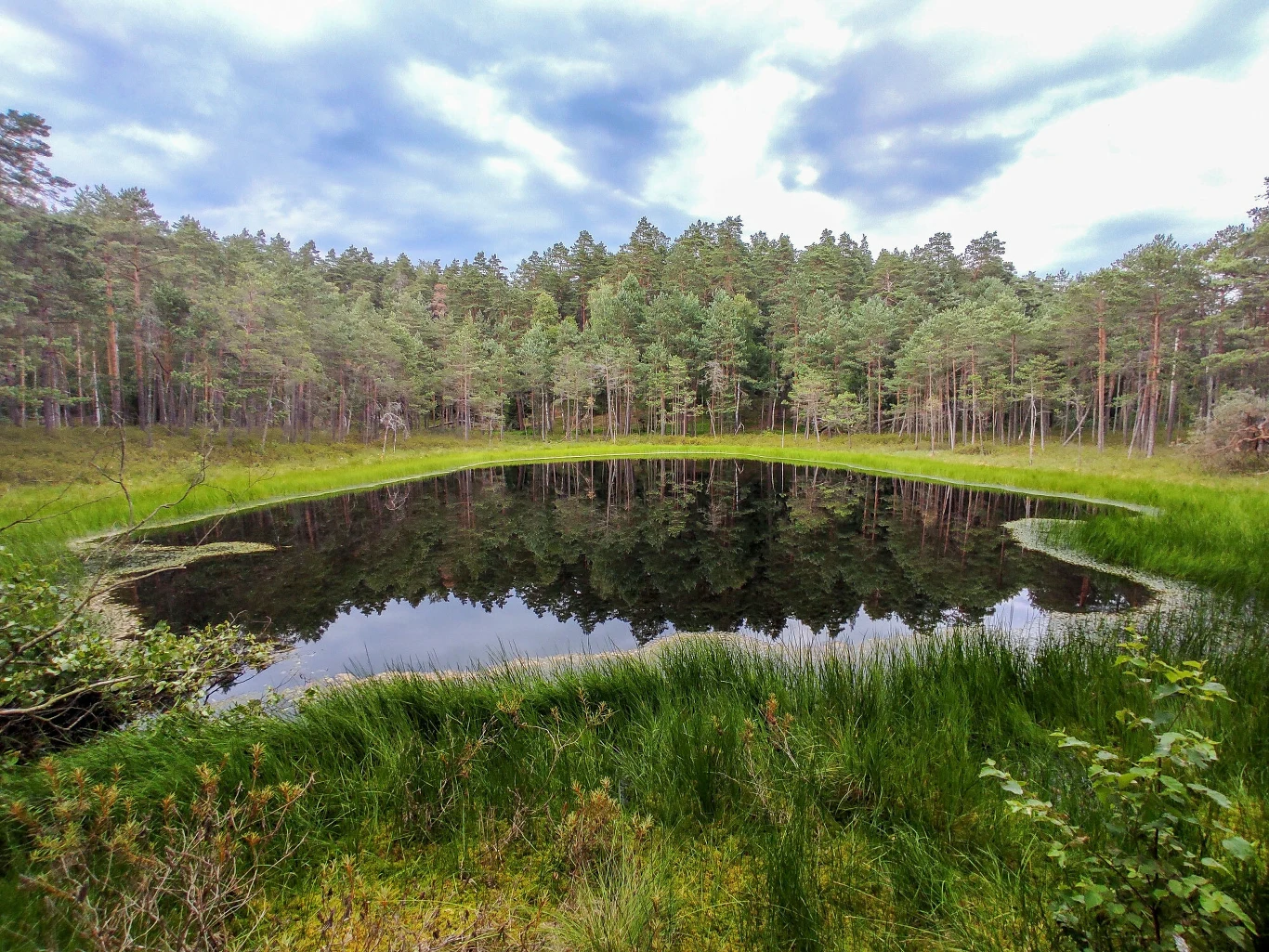 Rezerwat Przyrody Krutynia Rezerwat Przyrody Krutynia