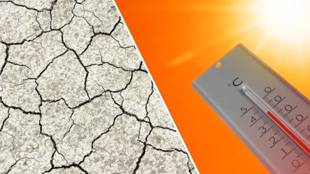 Pod koniec tygodnia do Polski wrócą upały. Najcięższa pogoda prognozowana jest w weekend