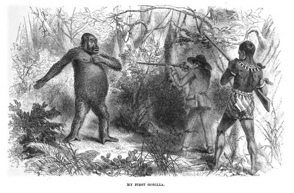 Paul du Chaillu spotyka wielką, czarną bestię zwaną gorylem
