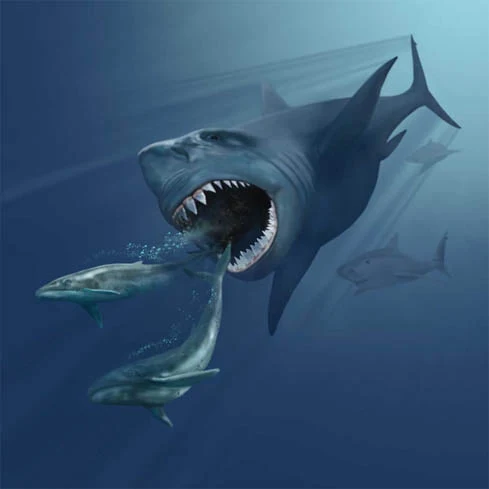 Rekonstrukcja megalodona