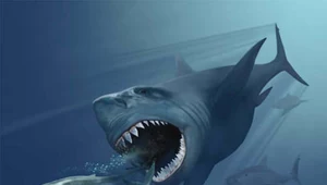 Twórcy filmu "Meg 2" pomylili się o 50 milionów lat. Tytuł brzmiałby "Cret"