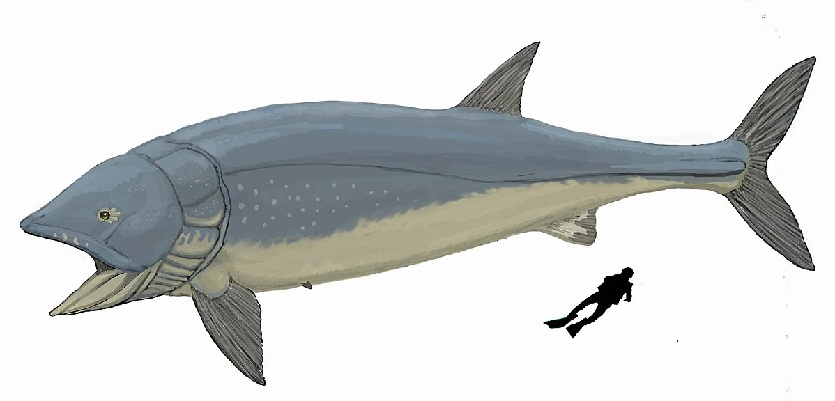 Ogromna Leedsichthys Ogromna Leedsichthys