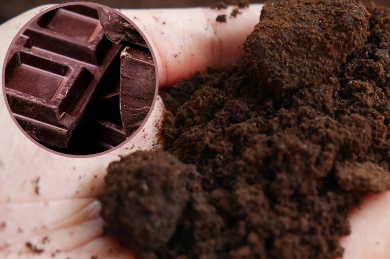 Co zrobić, gdy kawa zwietrzała? Produkt z kuchennej szafki przywróci jej aromat Co zrobić, gdy kawa zwietrzała? Produkt z kuchennej szafki przywróci jej aromat