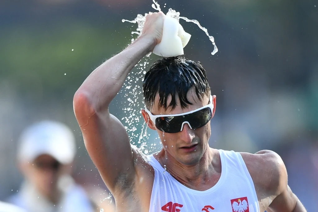 Dawid Tomala Dawid Tomala