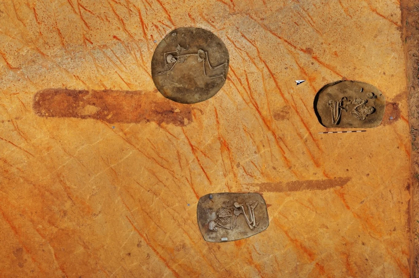 Z grobowca w późniejszym okresie korzystała również ludność kultury ceramiki sznurowej. Z grobowca w późniejszym okresie korzystała również ludność kultury ceramiki sznurowej.