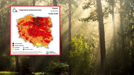 Jak ostrzega IMGW, w piątek w dużej części kraju zagrożenie pożarowe lasu osiągnie najwyższy stopień