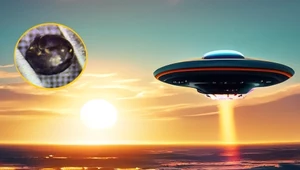 Profesor z Harvardu: Na dnie Oceanu Indyjskiego odkryłem szczątki UFO