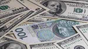 Amerykański dolar wzmacnia się wobec euro, wygrywa także ze złotym