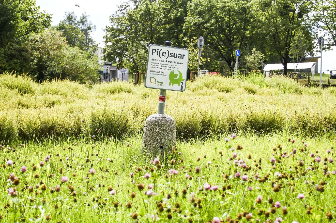 Piesuary to elementy małej architektury, które zachęcają czworonogi do załatwiania się w wyznaczonym miejscu