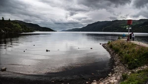 Nessie nie jest sama? Tajemnicze "mikropotwory" w Loch Ness