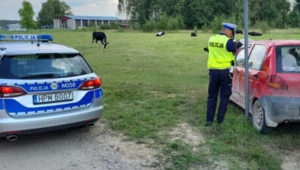 Policjanci rozpoczęli pościg, bo auto nie zatrzymało się do kontroli. Za kierownicą 11-latek