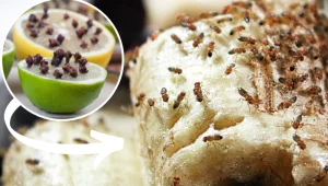 Powieś w kuchni woreczek z tą przyprawą, a muszki owocówki znikną!