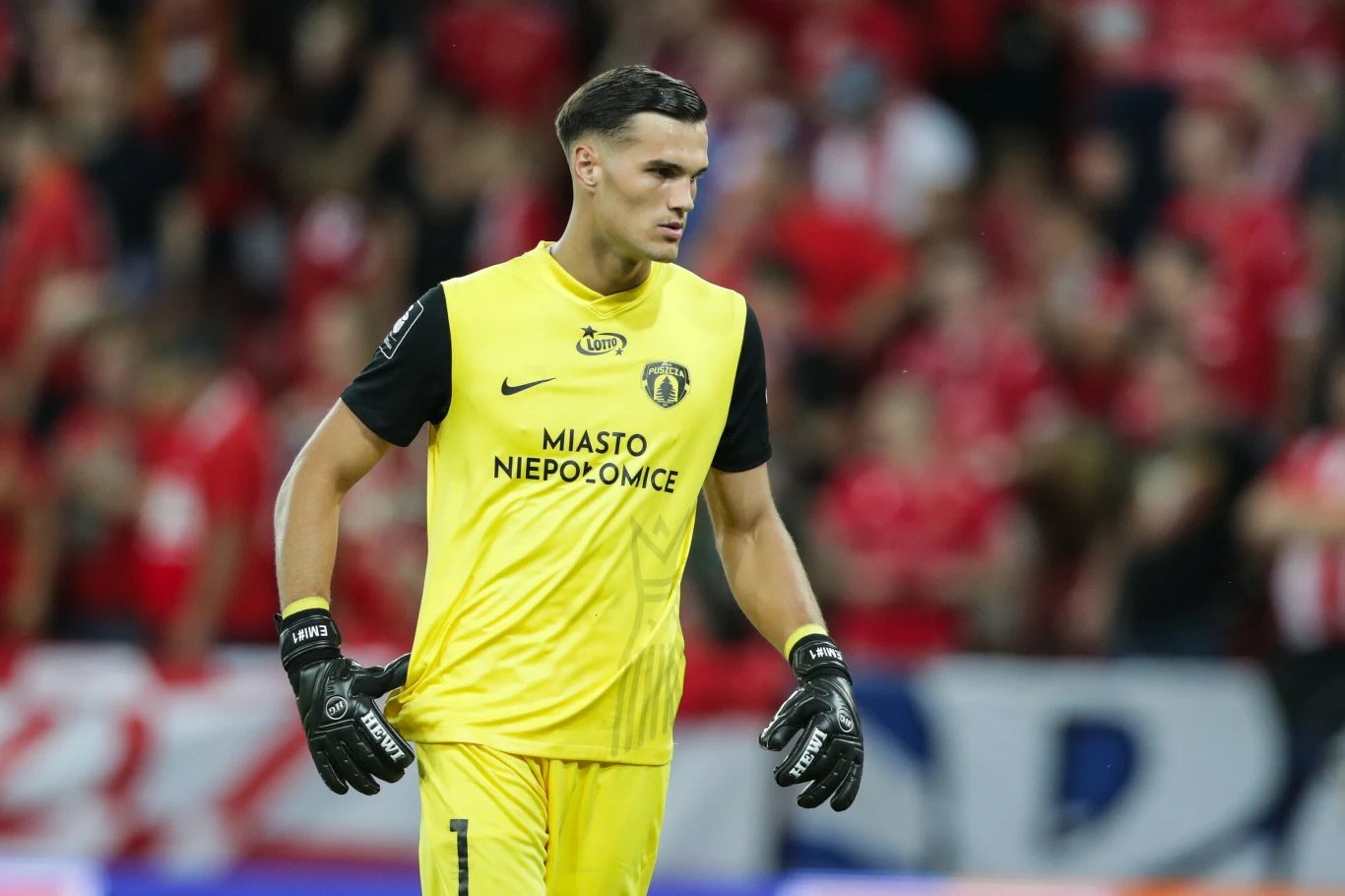 Kewin Komar Kewin Komar