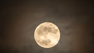 Zbliża się Pełnia Niebieskiego Księżyca. Zdarza się raz na kilka lat 