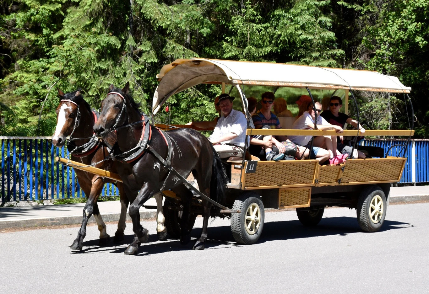 Konie pracujące na trasie do Morskiego Oka badane są cyklicznie od 11 lat