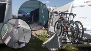 Zdjęcia tesli w namocie obiegły sieć