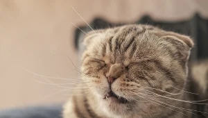 Ten nawyk może świadczyć o problemach ze zdrowiem. Nigdy nie bagatelizuj 