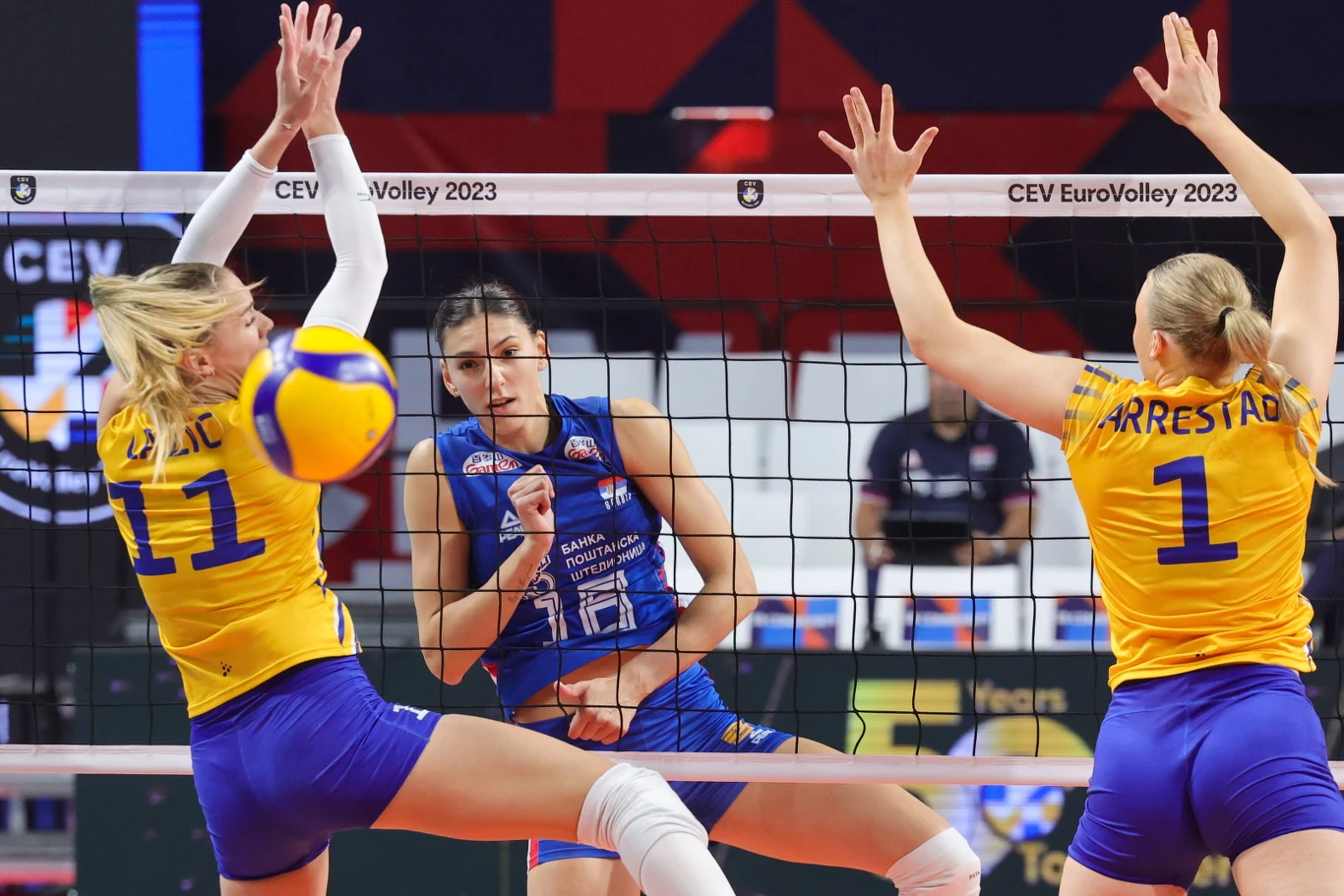 Tijana Bosković w meczu Serbia - Szwecja na ME siatkarek