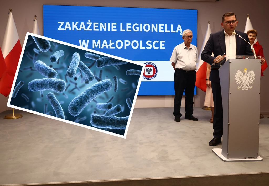 Bakterie legionelli namnarzają się w stojącej wodzie. Występują też w klimatyzatorach, ale ryzyko zarażenia w samochodzie jest marginalne