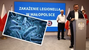 Legionella w klimatyzacji. Czy można zarazić się w samochodzie lub autobusie?