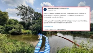 Ministerstwo Klimatu poinformowało o znalezieniu śniętych ryb w Odrze