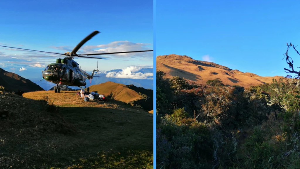 Obszar, na którym odkryto motyla jest bardzo trudno dostępny. Naukowcy musieli korzystać m.in. z helikoptera. Badaczom pomagała też peruwiańska armia