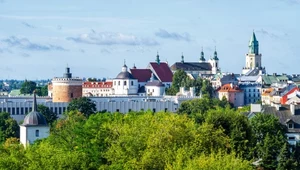 Cmentarz w ogrodzie botanicznym. Niezwykłe odkrycie archeologów