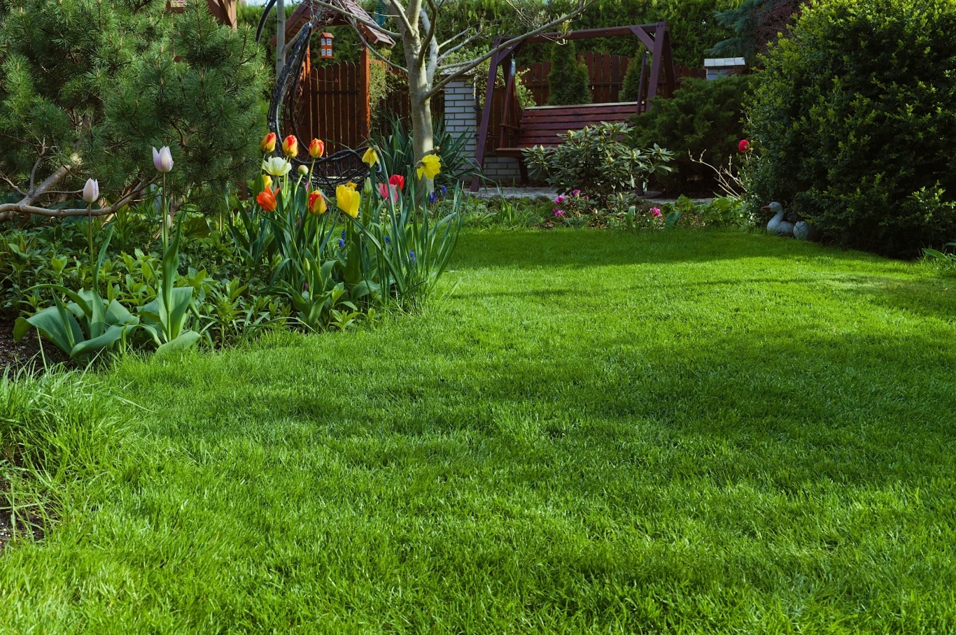 Tak wyglądający trawnik jest marzeniem wielu Polaków