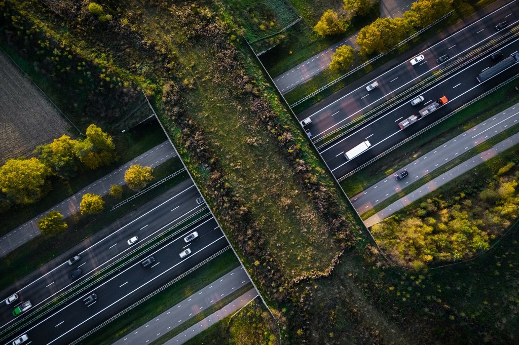 Holenderscy naukowcy z Rady ds. Klimatu mają receptę na poprawę stanu środowiska