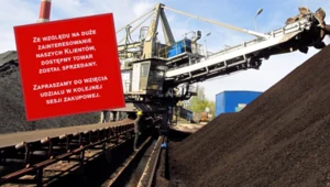 PGG. Węgiel znika błyskawicznie, problemy w e-sklepie